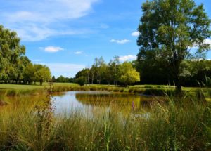 Golf de la Commanderie, golf in france