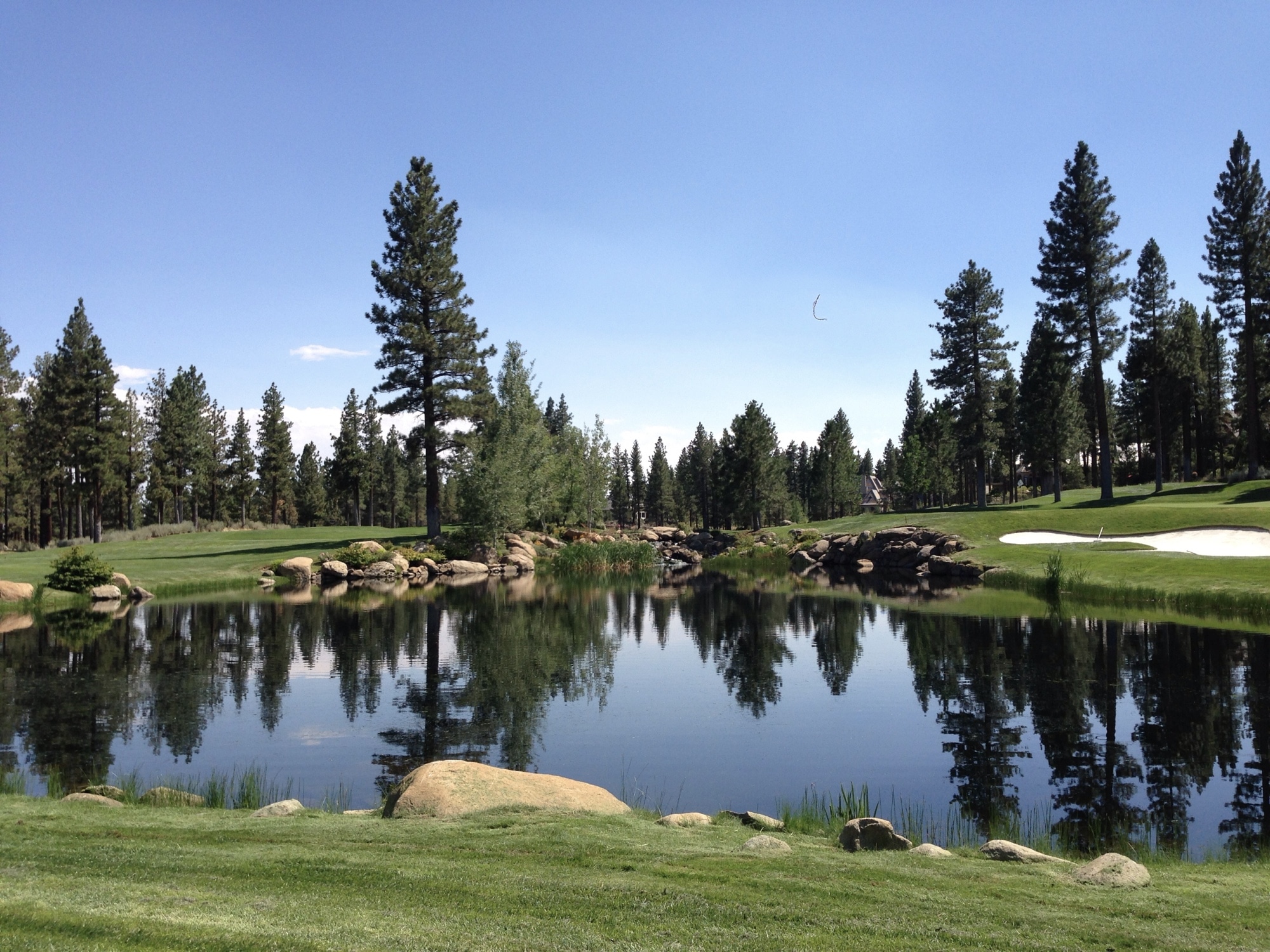 Montreux Golf & Country Club Nevada Next Golf