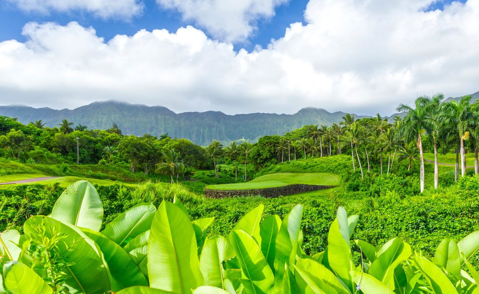 Royal Hawaiian Golf Club, Golf in Oahu, Hawaii, Next Golf