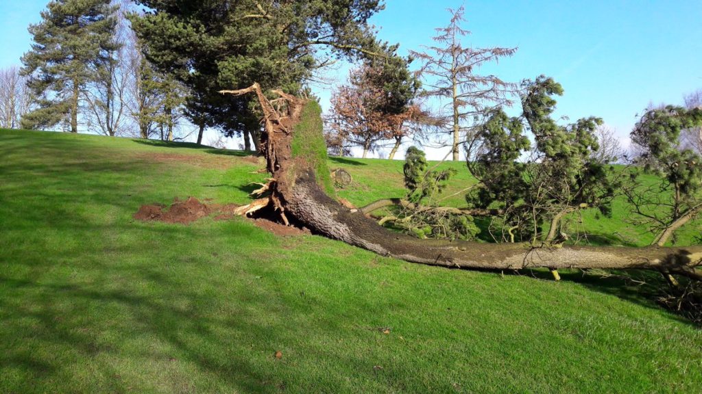 Uttoxeter Golf Club