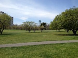 Dyker beach golf course, golf in new york