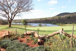 Kambaku Golf Club, golf in South Africa