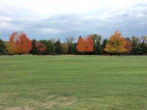 Van Schaick Island Country Club