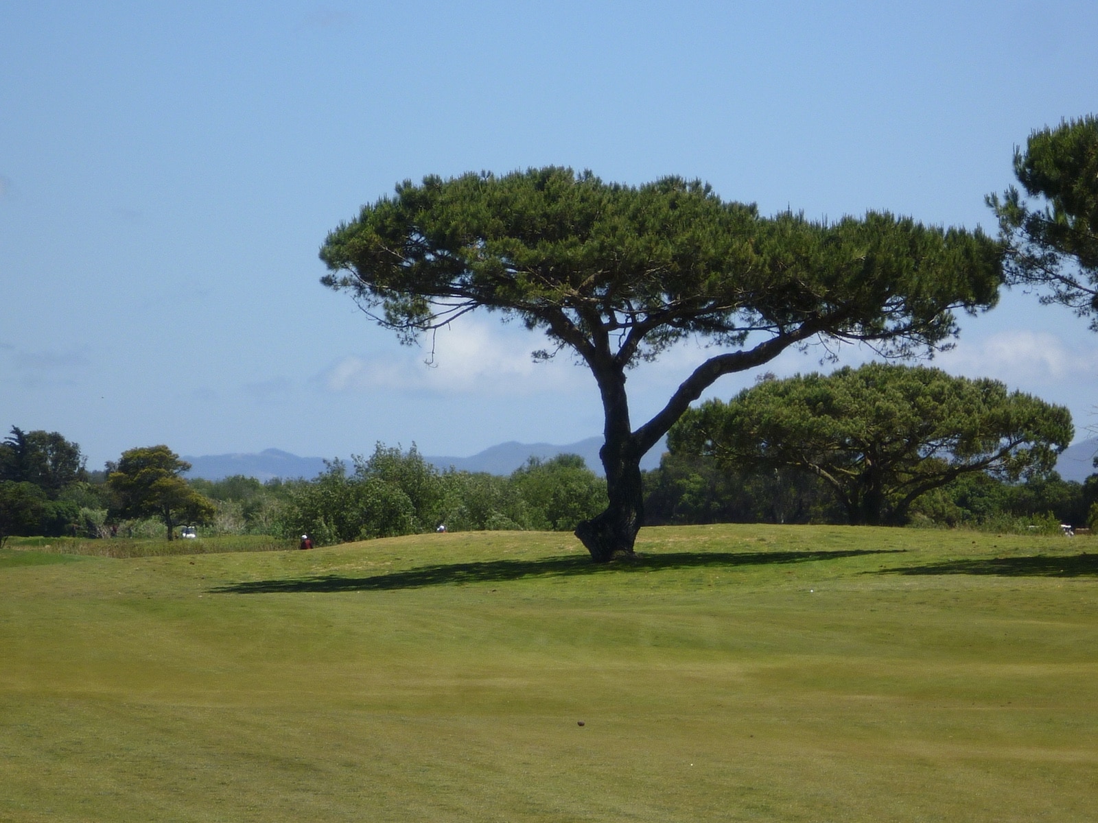 Olivas Links Ventura County Golf 18 hole golf in California