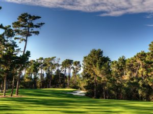 Poppy Hills Golf Course, golf in california, Pebble beach golf