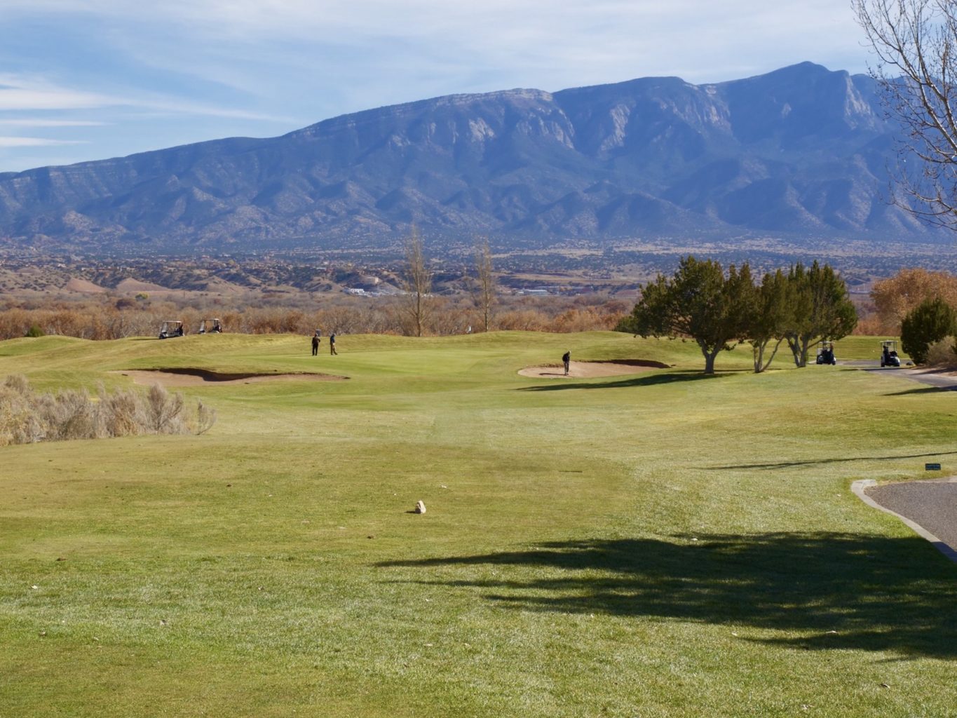 All golf courses and information for golf New Mexico USA